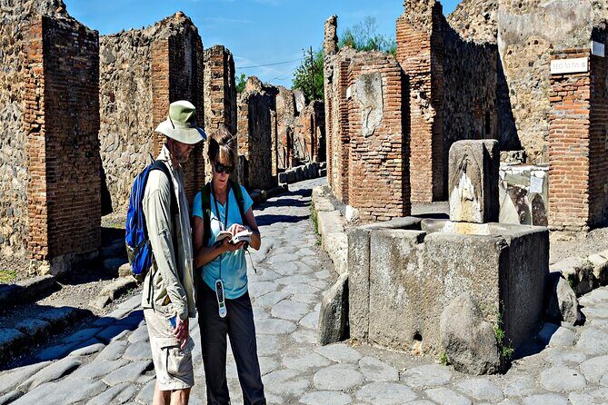 Private Guided Tour in Pompeii - Naples to Pompeii with pickup that saves time