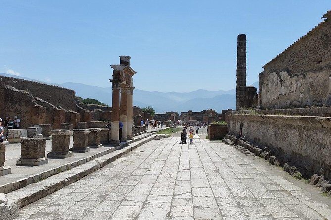 Private Guided Tour of Pompeii and Herculaneum - Timing and pacing: fitting two major sites into 5 to 6 hours
