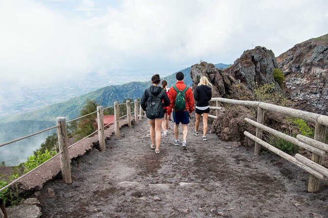 Private Half-Day Sightseeing Tour of Vesuvius National Park - Door-to-door Naples pickup: what you gain (and what you still control)