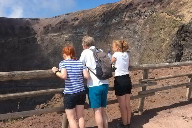 Private Half-Day Sightseeing Tour of Vesuvius National Park - Naples Bay views and the thrill of seeing an active vent