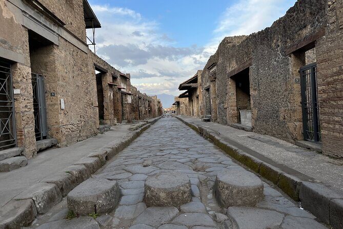 Private Half Day Tour to the Ruins of Pompeii - Price and Logistics: When It Feels Like Value and When It Doesn’t