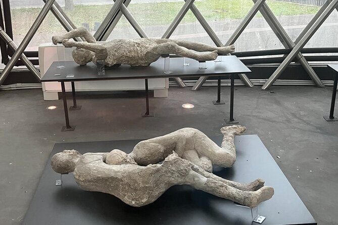 Private Half Day Tour to the Ruins of Pompeii - Who This Private Half-Day Pompeii Tour Fits Best