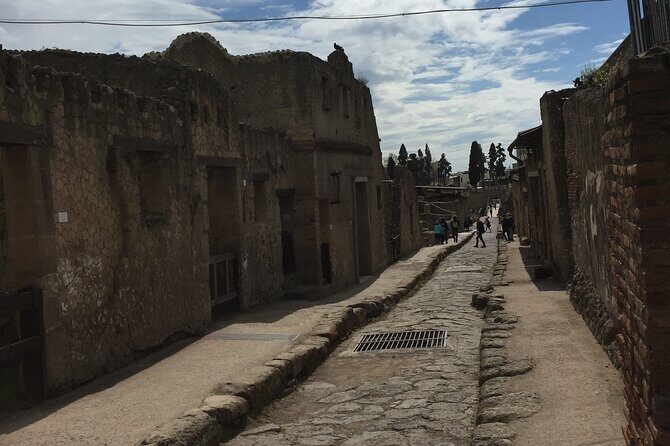 Private Herculaneum Tour for Kids and Families - Parco Acheologico di Ercolano: what you’ll actually see