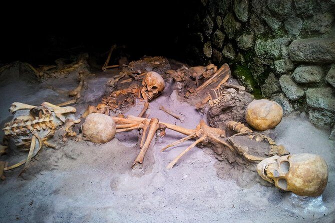 Private Herculaneum Tour – Top Experience with Local Guide - Parco Acheologico Di Ercolano: Frescoes, Shops, Baths, and Wooden Life