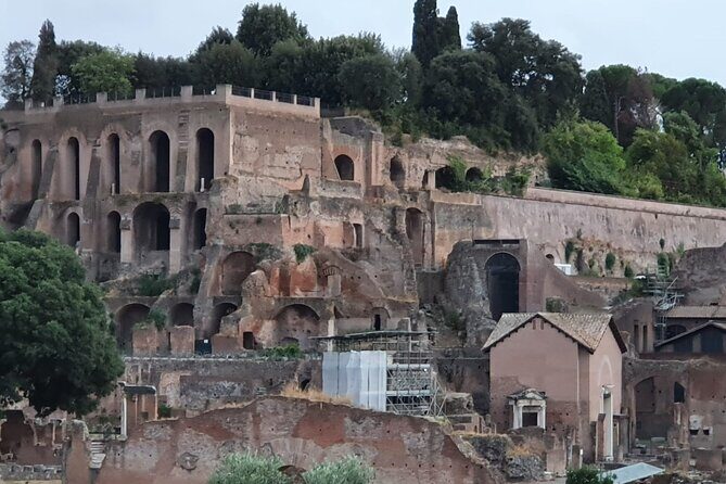 Private Immersive Colosseum Tour - Stop 4: Palatine Hill for the Big-Picture Rome