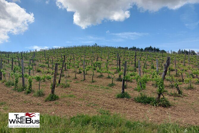 Private Irpinia Wine Tour from NAPLES with sommelier - Key things that make this tour worth your time