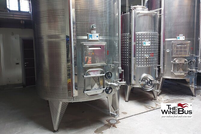 Private Irpinia Wine Tour from NAPLES with sommelier - Tenuta Donna Elvira: vineyard views, then cellar reality