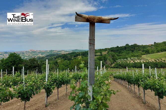 Private Irpinia Wine Tour from NAPLES with sommelier - What Irpinia teaches you about Italian wine (and how to use that knowledge)