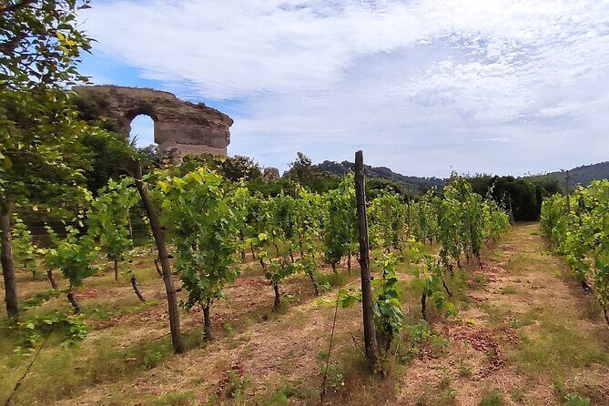 Private Natural Wine Vs Byodinamic and Organic Wine Tour - Naples pickup to Tenuta Sorrentino Vesuvio: the day’s pace and setting