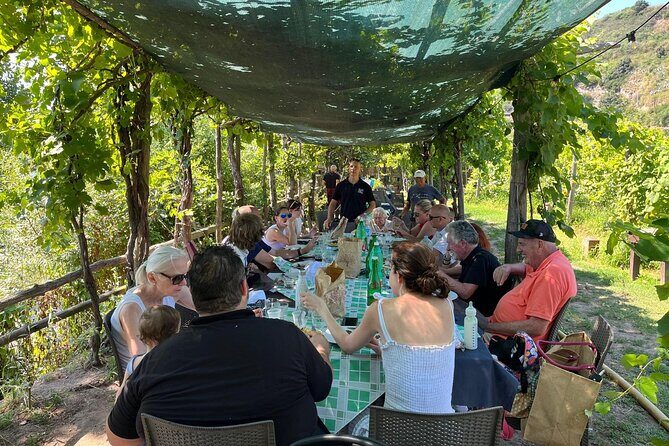 Private Natural Wine Vs Byodinamic and Organic Wine Tour - Should you book this private natural vs biodynamic/organic wine tour in Naples?