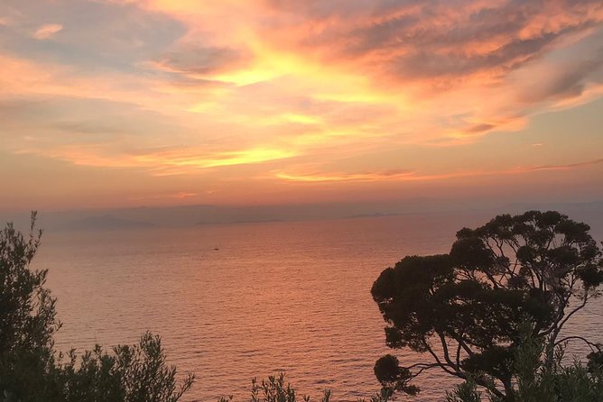 Private Night Transfer Amalfi Coast to Naples. - What Happens After You Book (And When It Starts)