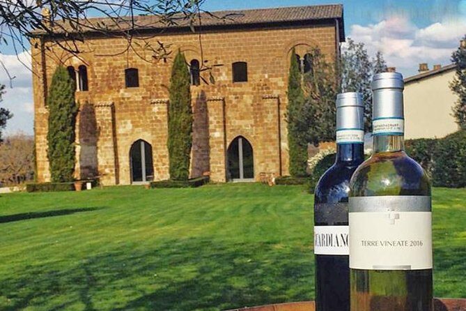 Private Orvieto Daytrip from Rome with Winery Visit - Key things you’ll notice on this Orvieto winery day