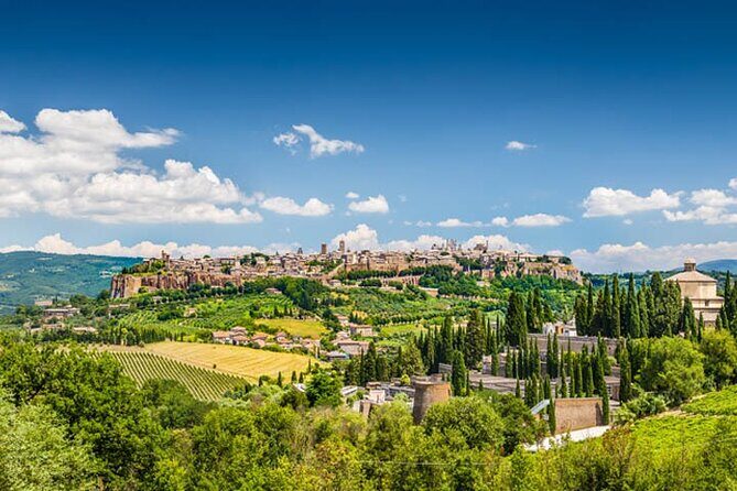 Private Orvieto Daytrip from Rome with Winery Visit - Price and value: what you’re really paying for