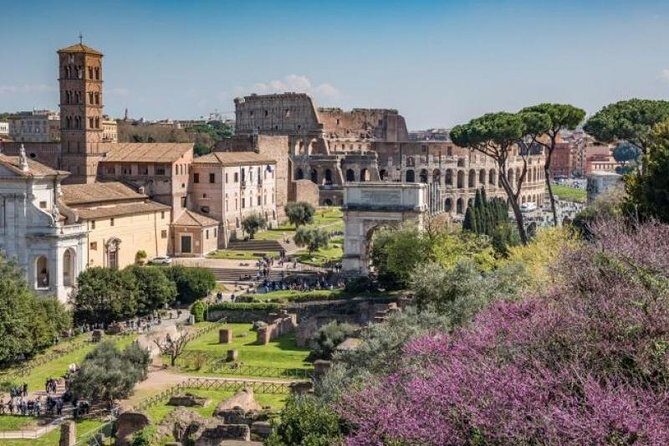 Private Piazzas of Rome Tour with Colosseum & Roman Forum - Entering the Colosseum: what you’ll see, and what you won’t