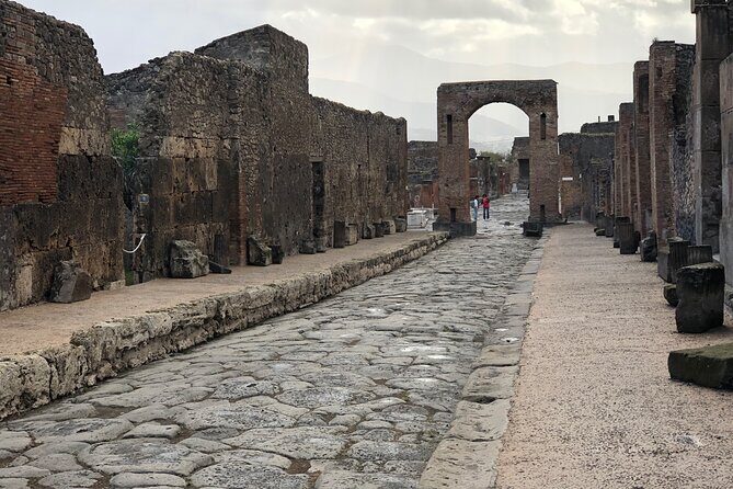 Private Pompeii and Herculaneum with Wine Tasting - Full Tickets - Getting there in a deluxe Mercedes van (and why it matters)