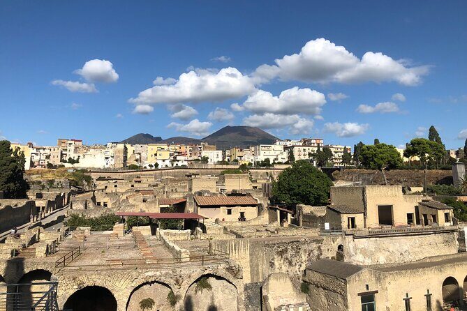 Private Pompeii and Herculaneum with Wine Tasting - Full Tickets - Who should book this private Pompeii and Herculaneum day