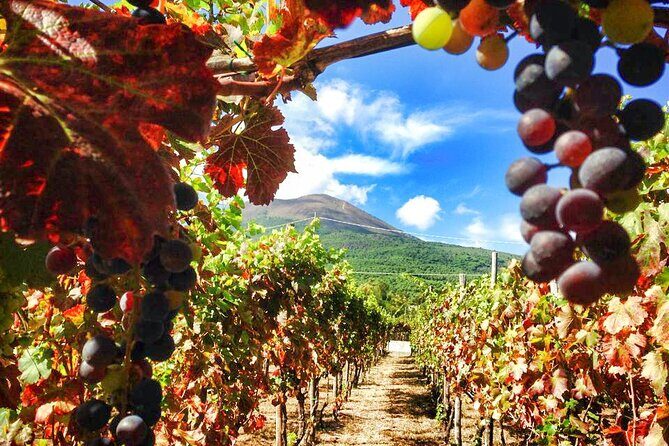 Private Pompeii and Vesuvius with Wine Tasting and Full Tickets - Wine tasting and lunch at Cantina del Vesuvio: why it pairs so well