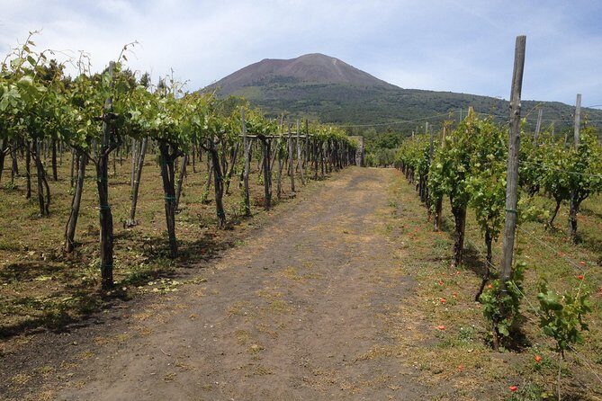 Private Pompeii, Herculaneum and Winery Tour from Naples - A private Pompeii and Herculaneum day from Naples
