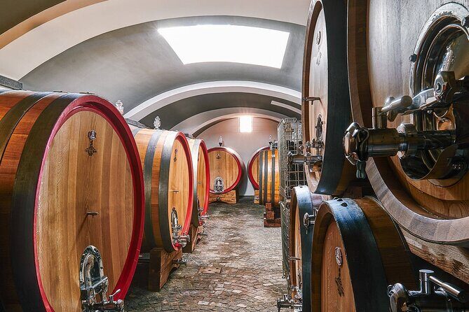 Private Pompeii, Herculaneum and Winery Tour from Naples - Herculaneum’s preservation: mosaics, central baths, and grand homes