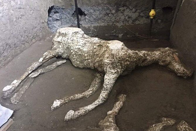 Private Pompeii Tour With Guide and Transfer Included - Granai del Foro: grain warehouses and the haunting cast displays