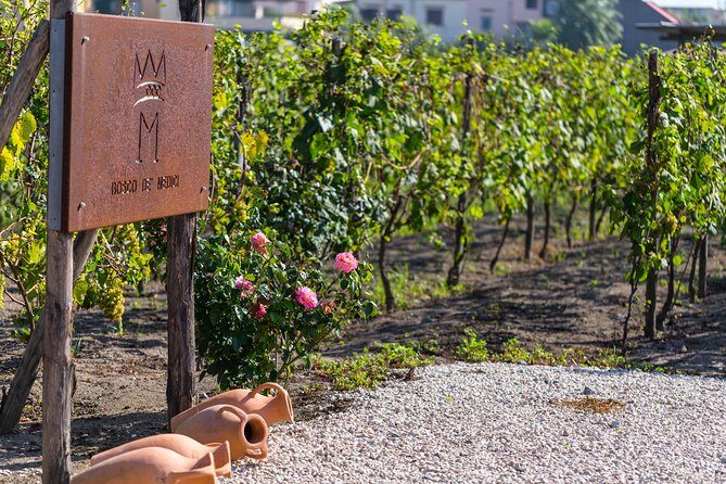 Private Pompeii Tour with Organic Wine Tasting & Lunch - Pompeii with a private guide: the fastest path to real understanding