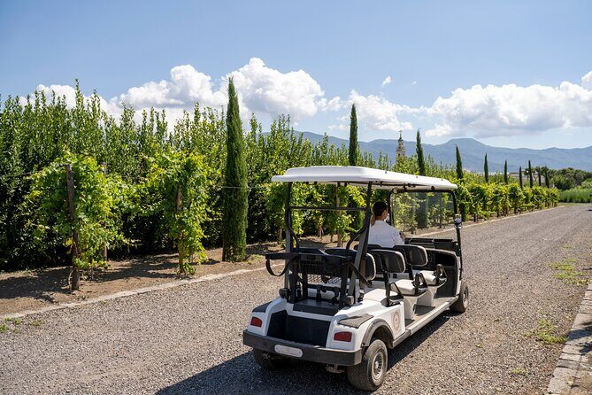 Private Pompeii Tour with Organic Wine Tasting & Lunch - Practical tips for a smooth day in hot Pompeii