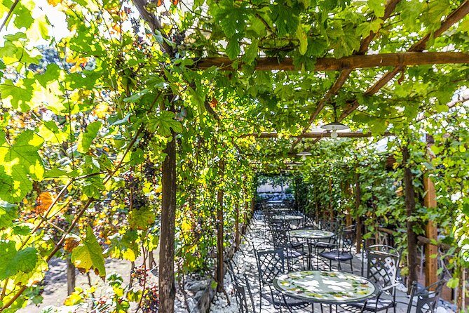 Private Pompeii Tour with Organic Wine Tasting & Lunch - Meeting at Porta Marina and finishing at the winery property