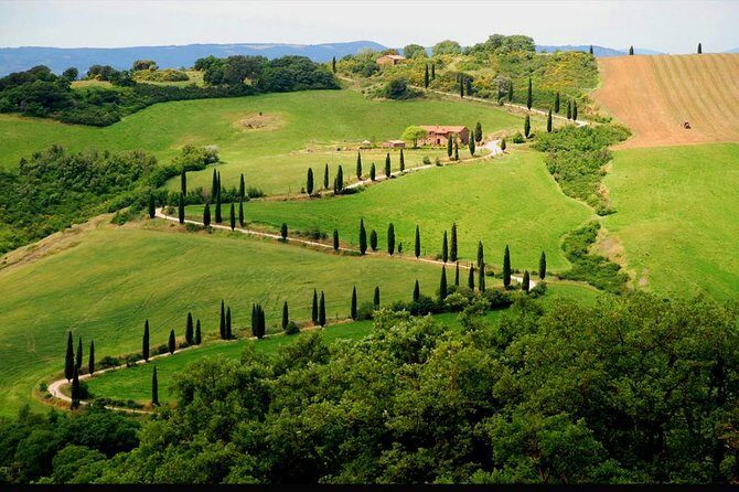 Private Siena and San Gimignano Tour with Wine Tasting From Rome - Who this tour suits (and who should think twice)