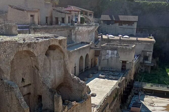 Private Tour in Herculaneum with an authorized guide - Entrance Ticket Reality: Budget for the €16 Site Fee