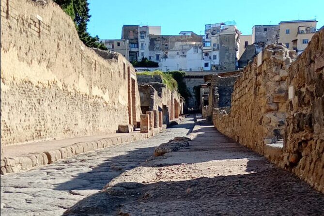 Private Tour in Herculaneum with an authorized guide - Meet Roberta at Ercolano Scavi: A Guide Who Adjusts