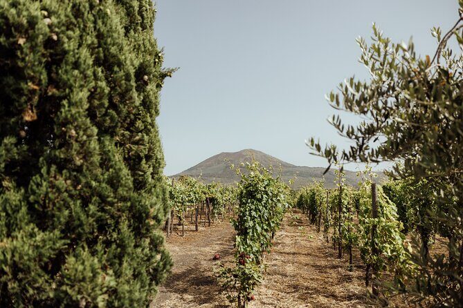 Private Tour in Pompeii and Vesuvius - Weather, tickets, and the day not going exactly as planned