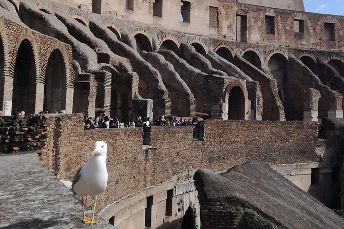 Private tour of Colosseo - Entering the Colosseum without losing your morning to lines