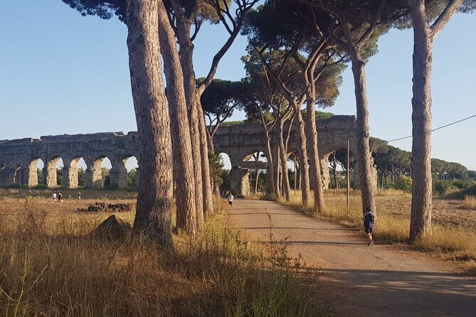 Private tour of Rome - Golf cart - Colosseum area: orientation, pictures, and where the tour ends