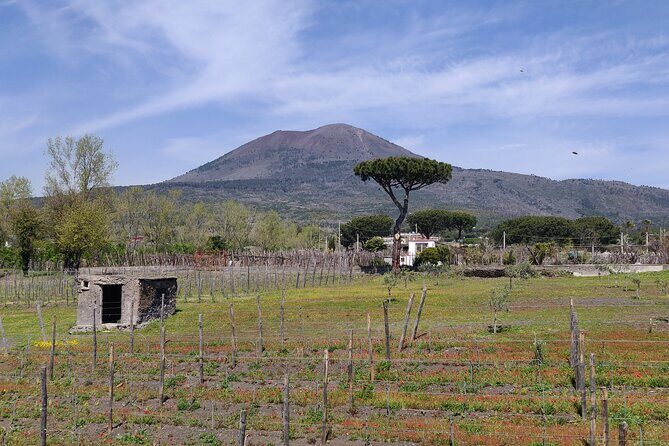 Private Tour Pompeii and Herculaneum - Pompeii Archaeological Park: What You’ll Actually See in 2 Hours