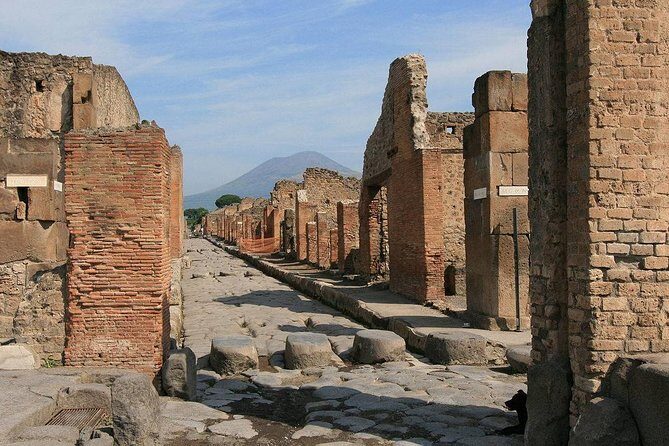 Private Tour: Pompeii and Positano Day Trip from Rome - Who this tour fits best (and who should rethink it)