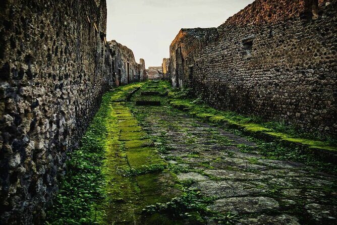 Private Tour Pompeii and Sorrento from Naples - The ride experience: air-conditioned comfort, WiFi, and an English-speaking driver