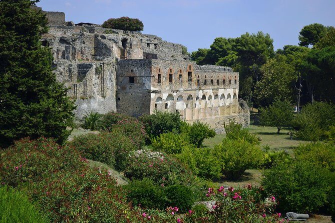 Private Tour: Pompeii Half-Day Trip from Naples - The Forum: politics, crowds, and the city’s power center