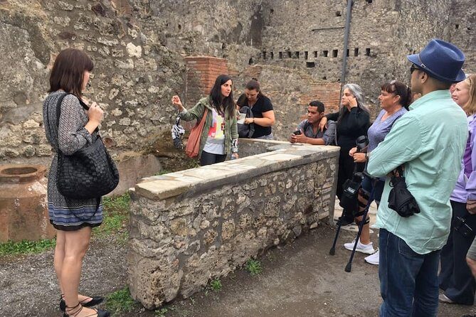 Private Tour: Pompeii & Wine Tasting at the Slopes of Mt Vesuvius - Price and value: is $564.33 per person a good deal?