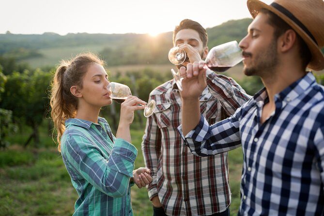 Private Tour: Pompeii & Wine Tasting at the Slopes of Mt Vesuvius - When it fits best (and when it doesn’t)