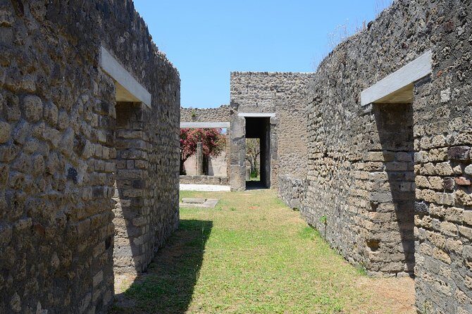 Private Tour Rome to Pompeii in private vehicle or fast train - What you’re truly paying for: value beyond the ticket