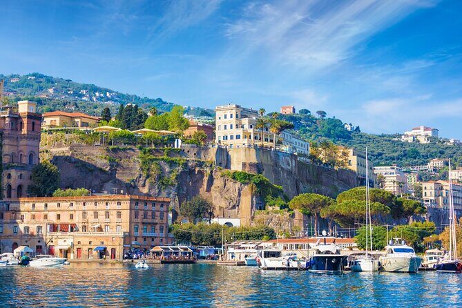 Private Tour to Pompei Sorrento and Positano with English speaking Driver/Guide - Entering Pompeii faster: why the early start matters