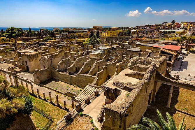 Private tour to Pompeii Herculaneum and Vesuvius - Pickup and Comfort: The Real Value of Hiring a Driver
