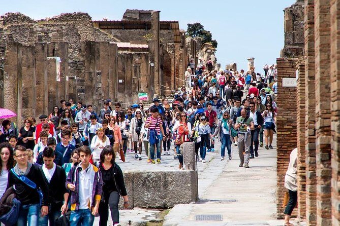 Private tour to Pompeii Herculaneum and Vesuvius - Pompeii Archaeological Park: A Fast, Focused Look at a Huge Site