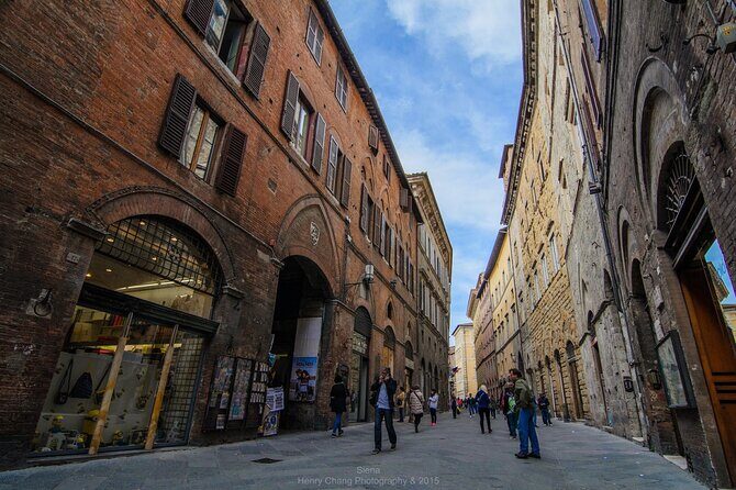 Private Tour to Siena and San Gimignano from Rome - San Gimignano tower focus: Torre dei Cugnanesi included