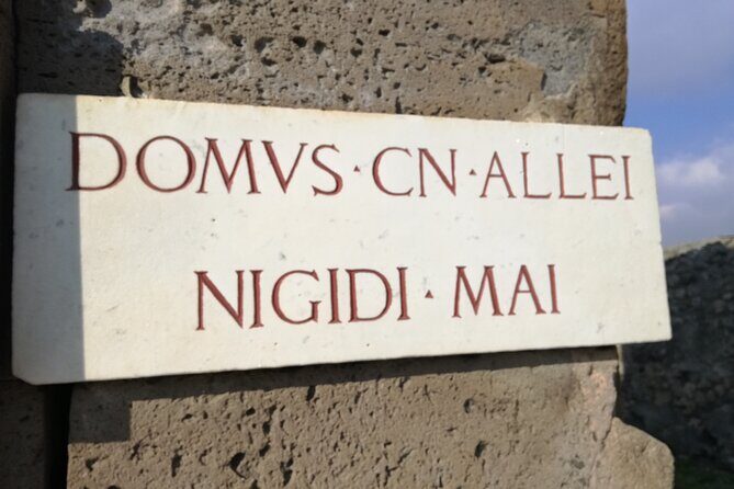Private Tour with Official Guide through the wonders of Pompeii. - How the route tells Pompeii’s story in the right order