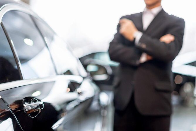 Private Transfer Civitavecchia Port From-to Rome/FCO apt - What This Transfer Is Really Good At