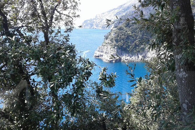 Private Transfer From Naples to Ravello/Sorrento stop at Pompeii - Pickup, Timing, and How the Vehicle Fits Your Day