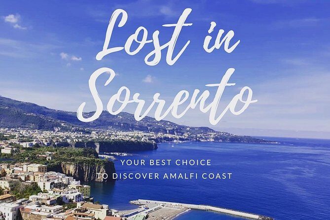 Private transfer from Naples to Sorrento with stop in Pompeii - Local Guide or Go Solo: How to Decide in Real Time