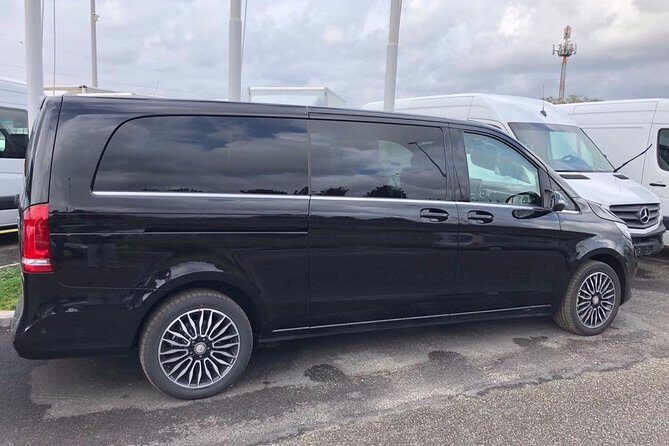 Private transfer from Port of Civitavecchia to FCO airport / Rome - Key Highlights You’ll Feel Right Away