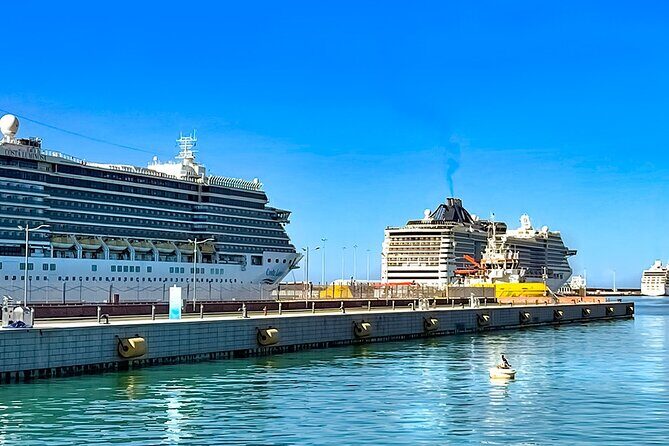 Private Transfer from Rome to Civitavecchia Cruise Port - How the meeting points work: arrival details at the port